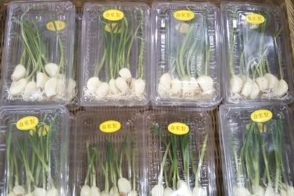 狭山の野菜の直売所のふれあいファームセンターの今月のオススメのお野菜のにんにくスプラウトの画像