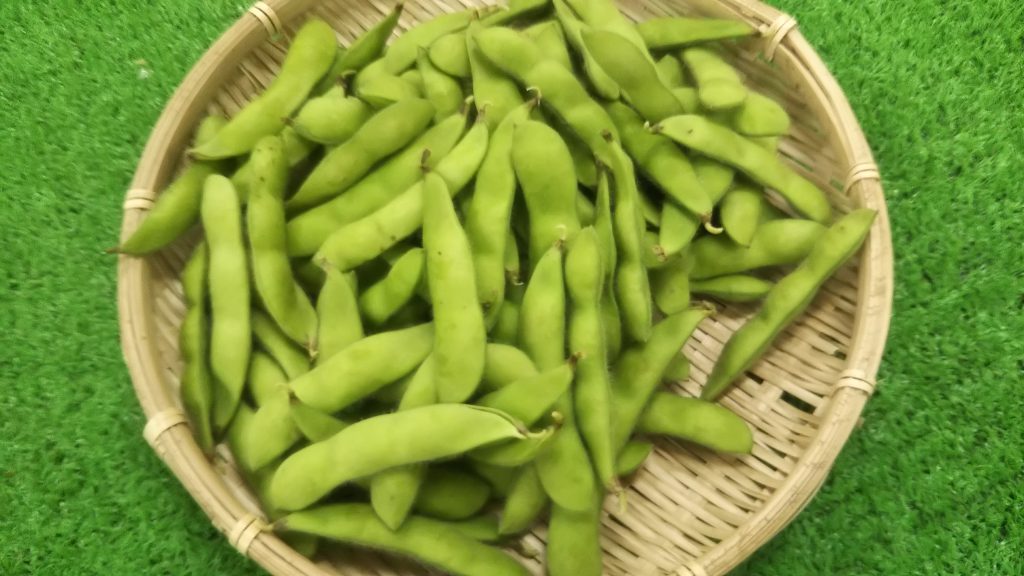 狭山の野菜の直売所のふれあいファームセンターの今月のオススメのお野菜の枝豆の画像