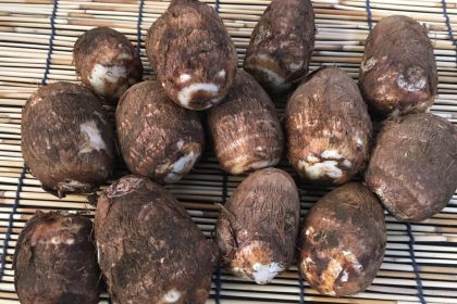 狭山の野菜の直売所のふれあいファームセンターの今月のオススメのお野菜の里芋の画像